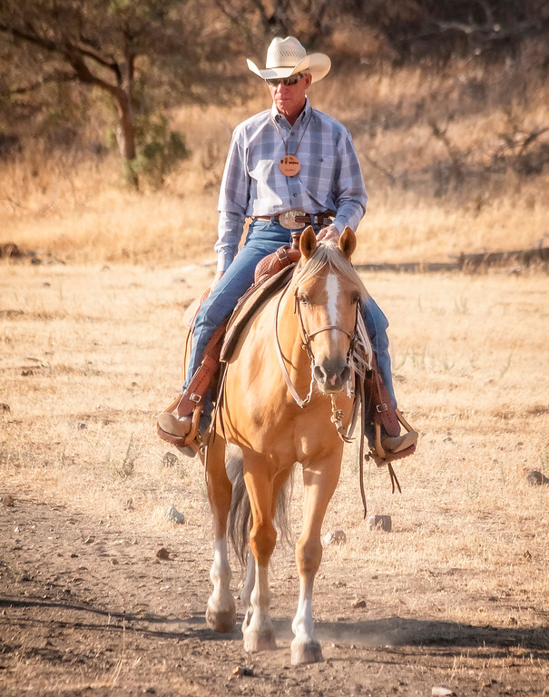 Cowboy Dressage World_AT Start